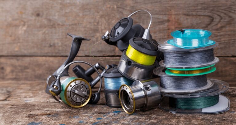 What Type of Fishing Line Do You Need?