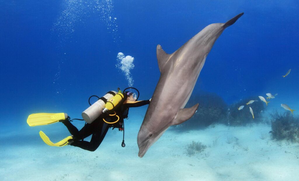 Cozumel Diving: Discover the Caribbean Beneath the Surface